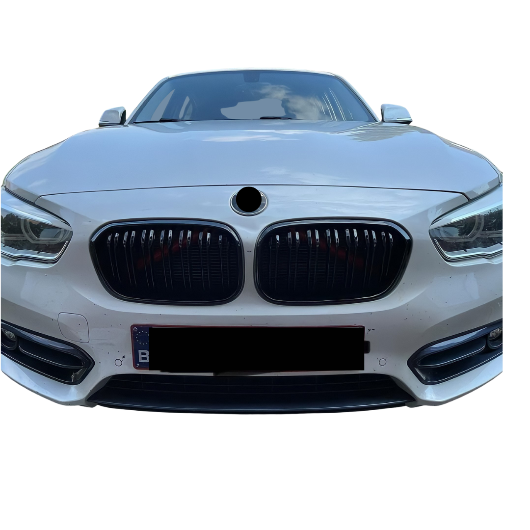 BMW 1 Serie F20&F21 (2015-2019) M-Style Grill Dubbel Spijl Glans Zwart